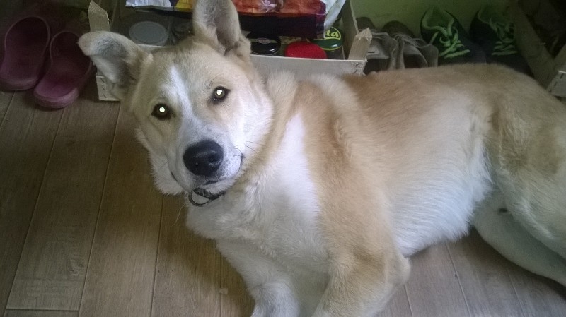 Autors: no privāta arhīva