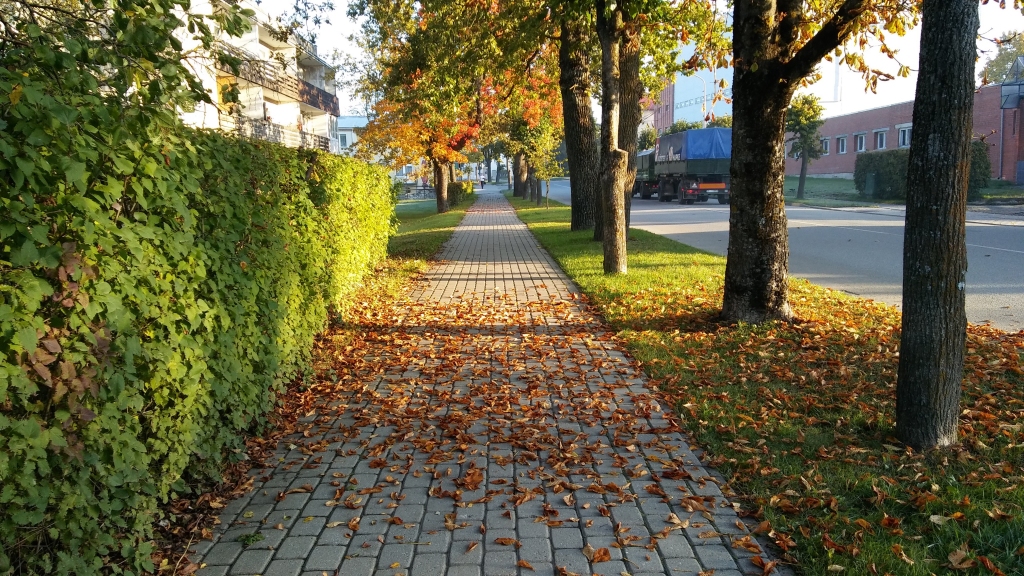 Autors: Pārsla Konrāde