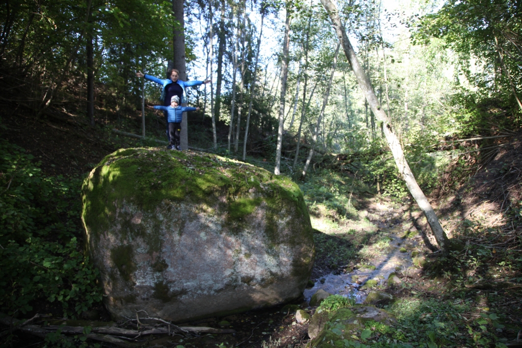 Plēķu dižakmens ir milzīgs. Pa vienu malu ir iespējams uz tā uzkāpt un nofotografēties.  
                                                                                                                                                                 Foto: Gatis Bogdanovs

Autors: Gatis Bogdanovs