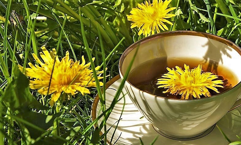 Autors: Iveta Krūmiņa