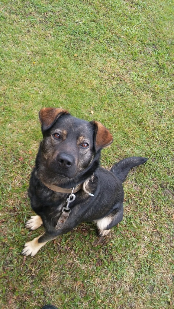 Autors: no privāta arhīva