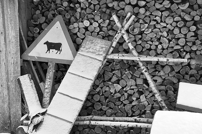 Autors: Dainis Ģelzis