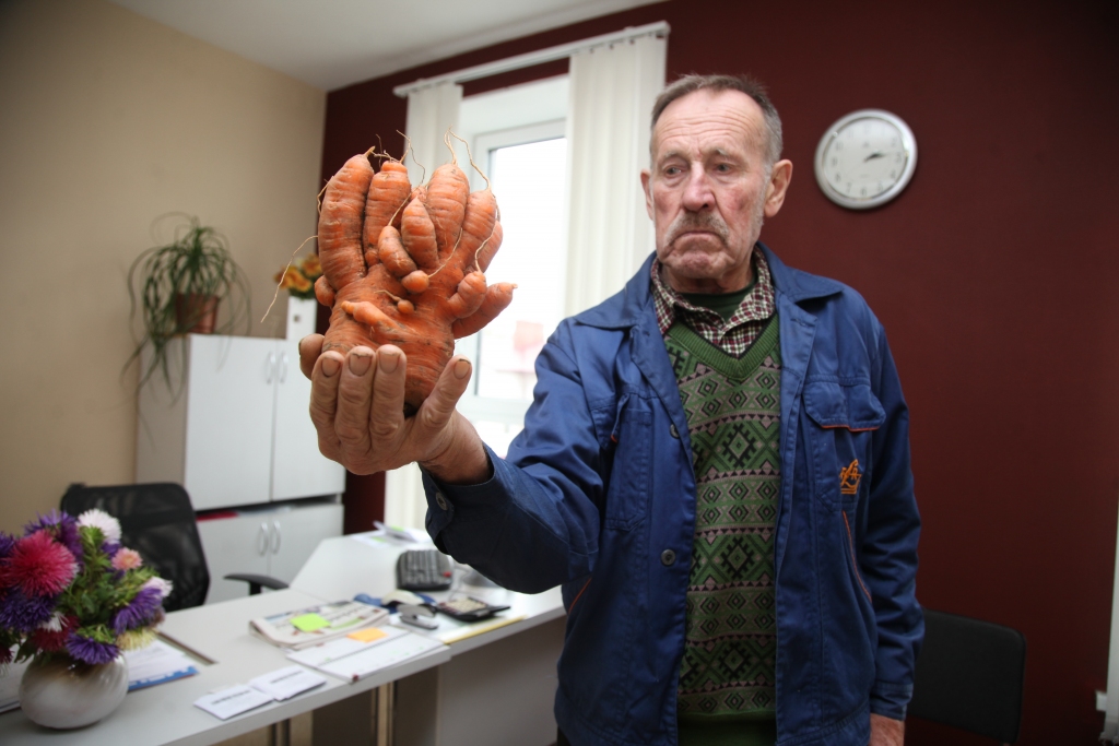 Autors: Gatis Bogdanovs