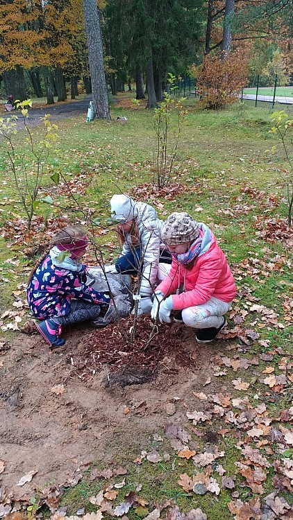 Autors: www.gulbene.lv