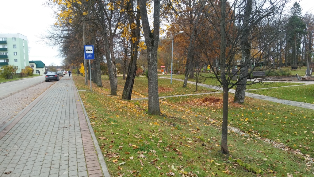 Jaunā pieturvieta “Gulbīšu parks” izveidota tāpēc, lai skolēni no Beļavas puses ērtāk varētu nokļūt skolās Gulbenē. 	
Autors: Pārsla Konrāde