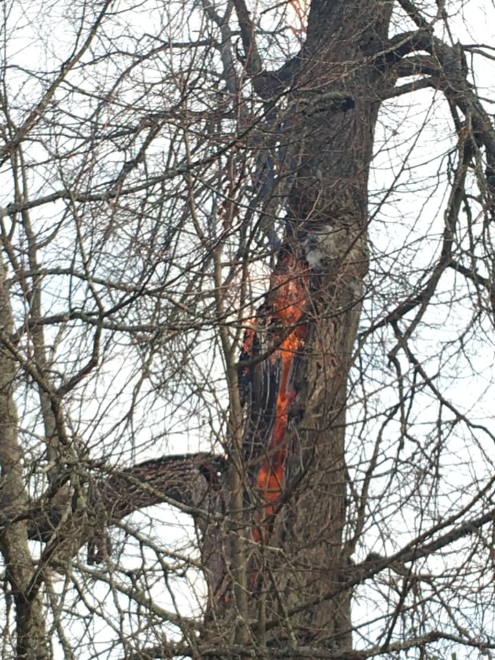 Autors: Diāna Odumiņa