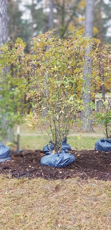 Autors: facebook.com