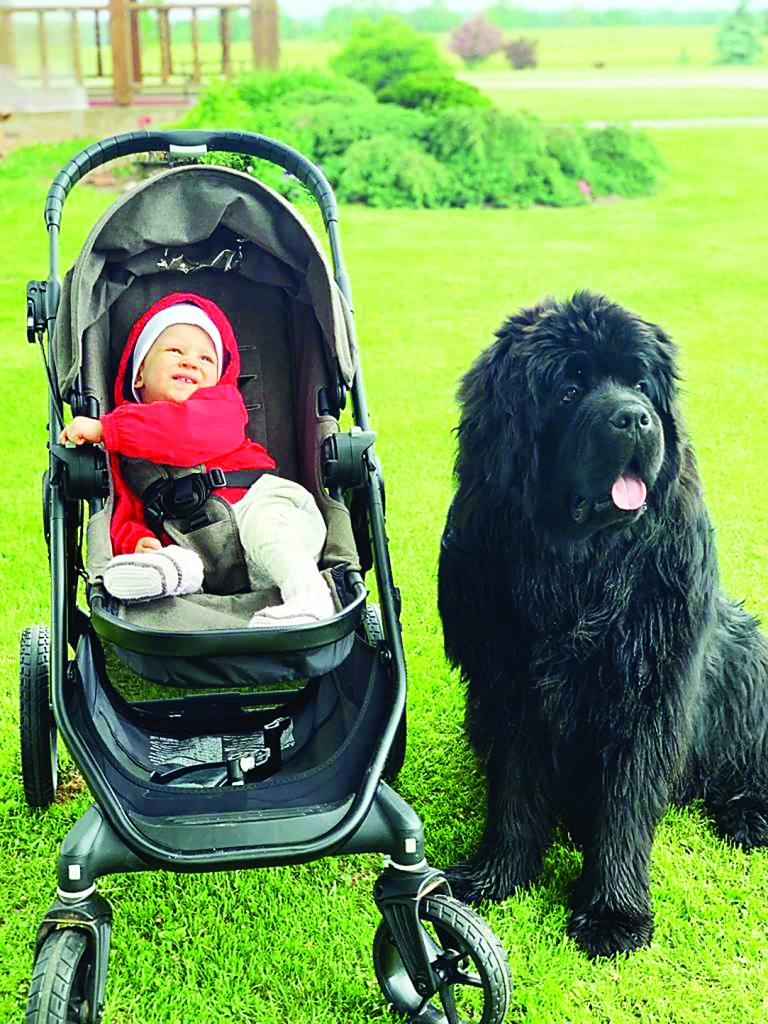 Lācis ir laba aukle, kas uzmana mazdēlu. Tieši šāda veida attēls Unai ir atmiņā kopš bērnības, kad viņa sapņoja par ņūfaundlendieti. 
Autors: no personiskā arhīva