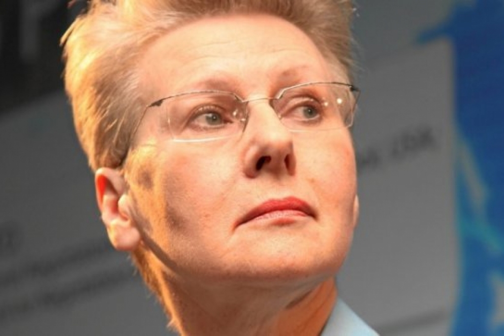 Starptautisko attiecību domnīcas 