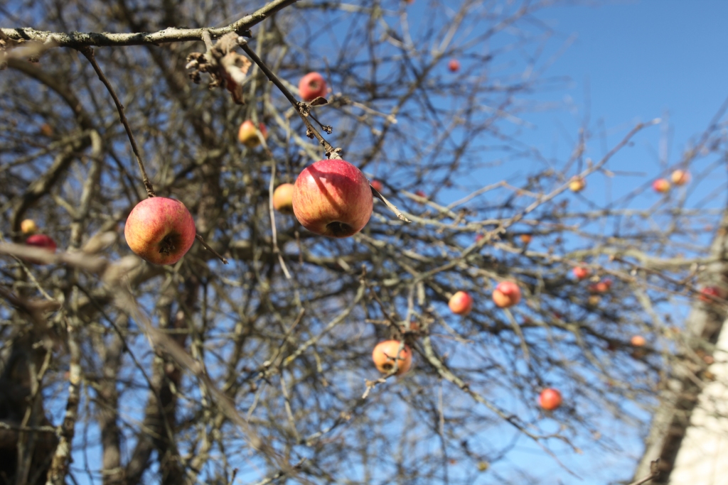 Autors: Gatis Bogdanovs