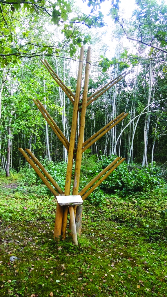 Arheoloģiskie izrakumi vēlā akmens laikmeta atradumu vietās liecina, ka jau tad uz kaula priekšmetiem un māla traukiem bija vecākais rakstu elements – skujiņa, kas atgādina skuju vai spalvu. 
Autors:  Pārsla Konrāde