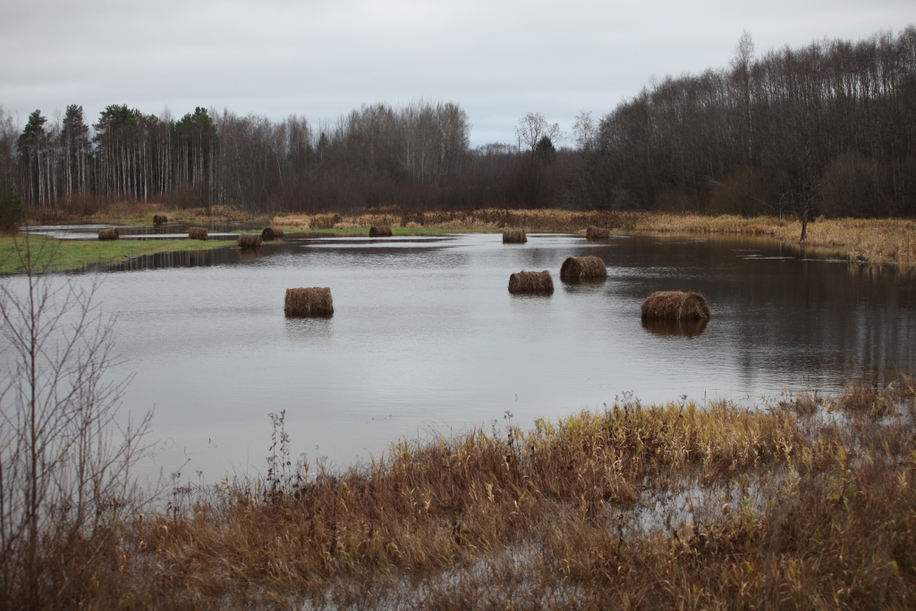 Plūdi pie Gulbenes robežas. Tradicionāli pēc lietavām gan pavasaros, gan arī rudeņos applūst pļavas blakus Madonas šosejai.  
Autors: Gatis Bogdanovs