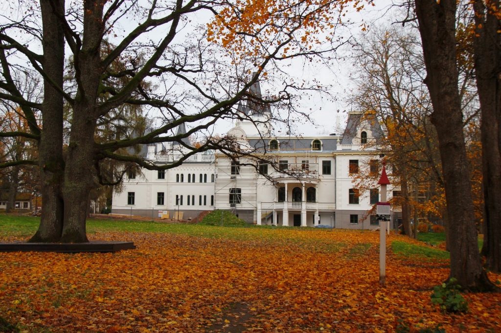 Autors: Ailita Brezinska