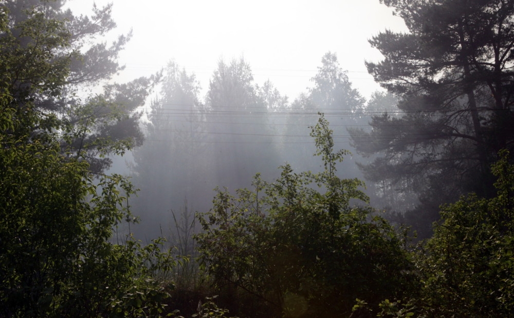 Autors: Ilustratīvs foto