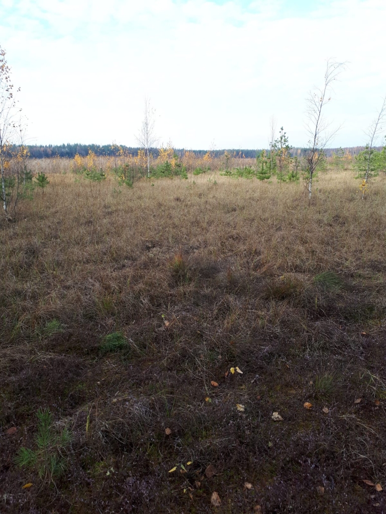 Autors: Anna Ignatāne