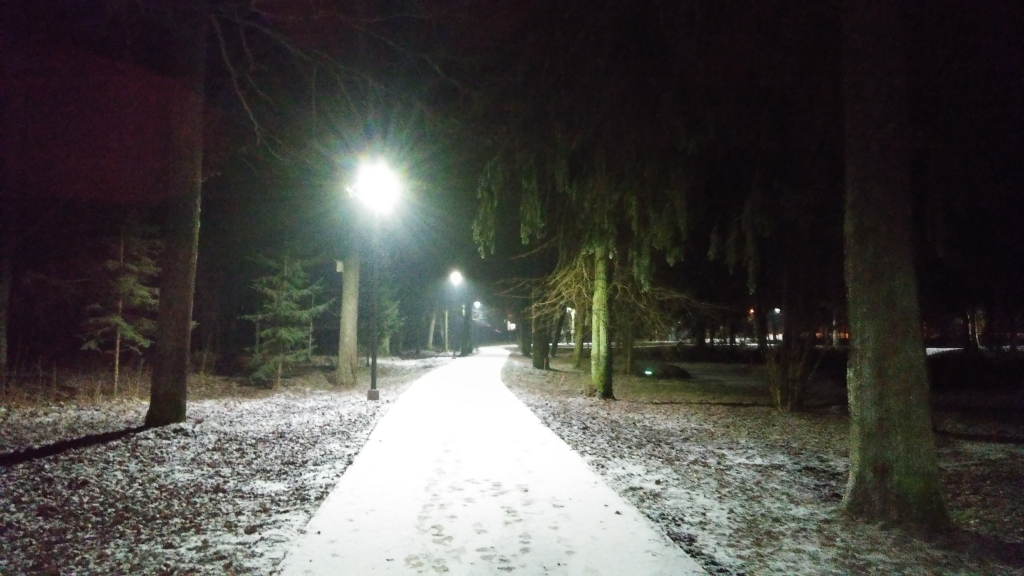 Autors: Pārsla Konrāde