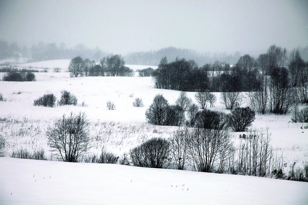 Autors: no “Dzirksteles” arhīva