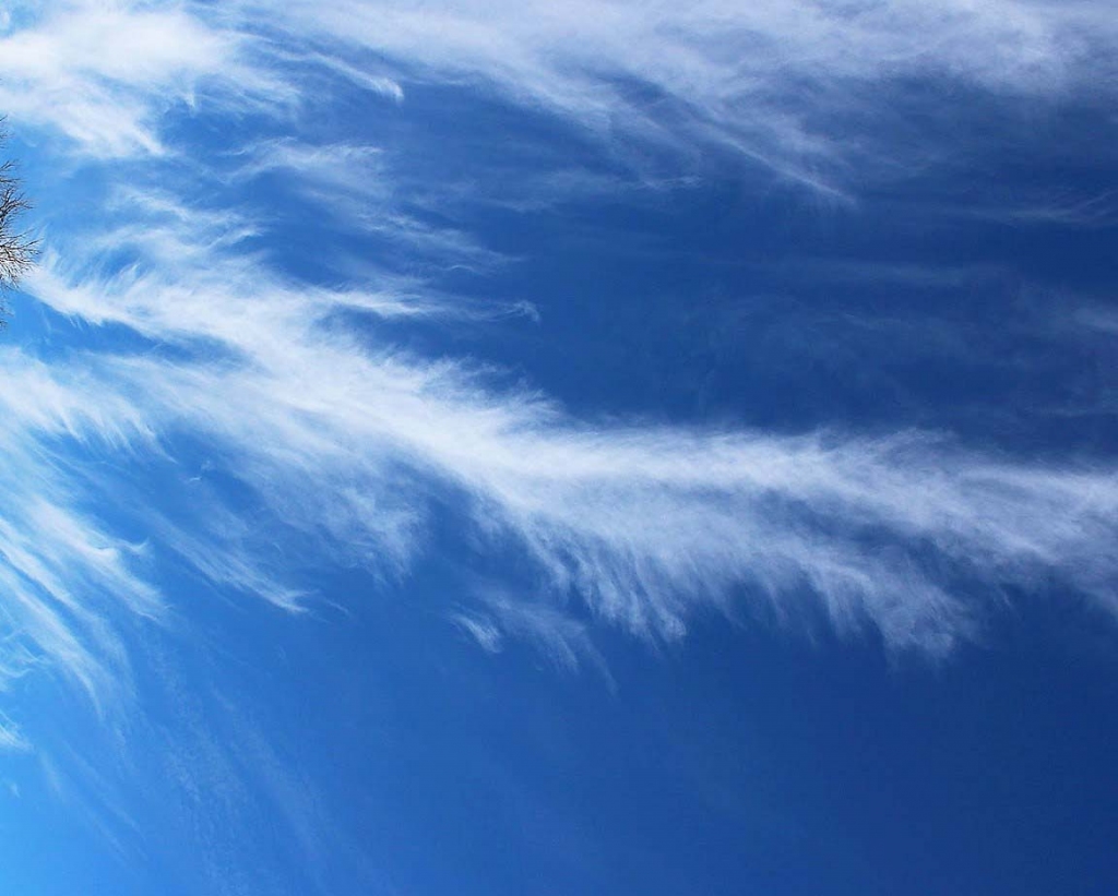 Autors: Iveta Krūmiņa 