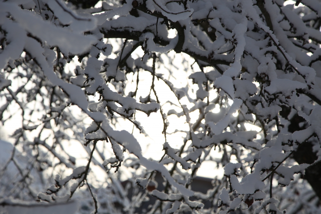 Autors: Gatis Bogdanovs