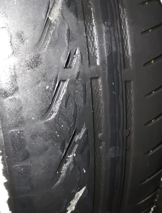 Autors: no CSDD arhīva