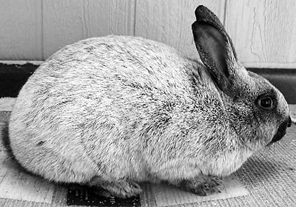 Autors: Iveta Krūmiņa