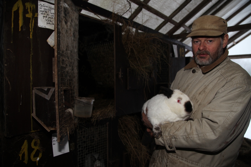“Rankas birzuļu” saimnieks Kalvis Aldersons pats tiek galā ar lielo trušu saimi, tās pabarošanai vajag divas stundas. 	
Autors: Gatis Bogdanovs