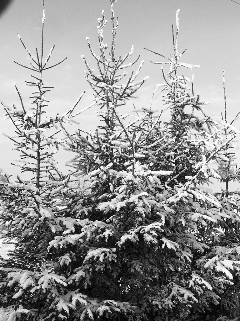 Autors: DAINIS ĢELZIS