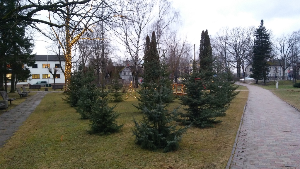 Autors: Pārsla Konrāde