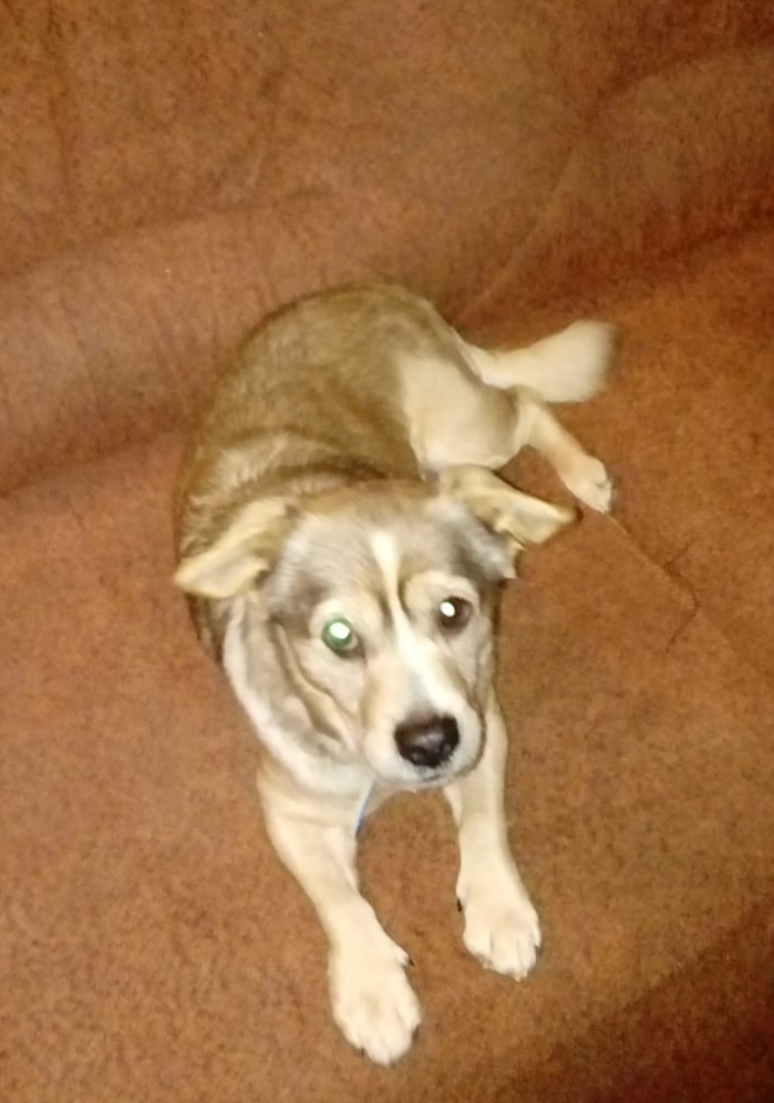 Autors: no privāta arhīva