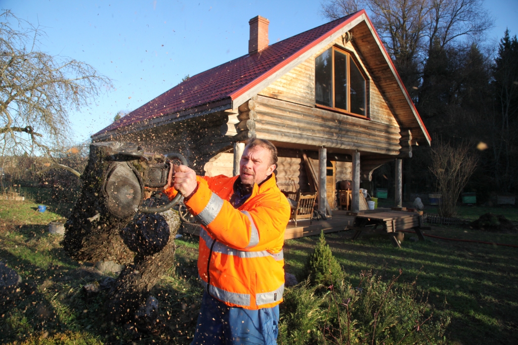 Pēc četriem pavadītiem gadiem Islandē Māris Ulmis tagad ar prieku rosās savās mājās Gulbenē. 	
Autors: Gatis Bogdanovs