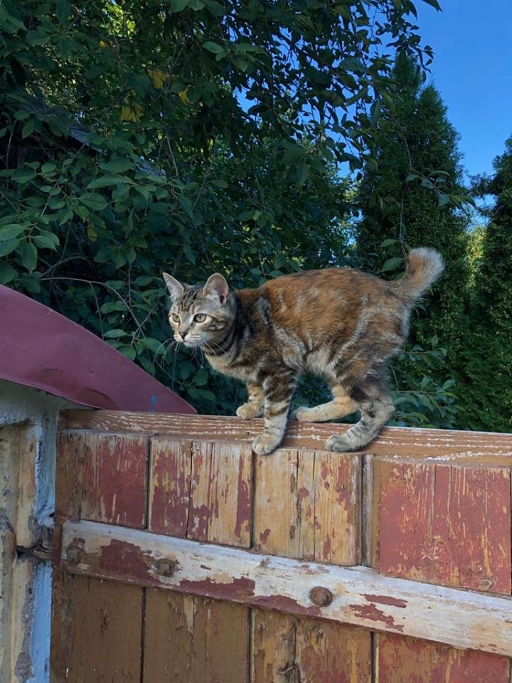 Autors: no privāta arhīva