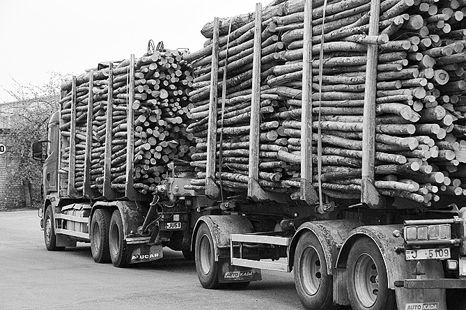 Autors: DAINIS ĢELZIS