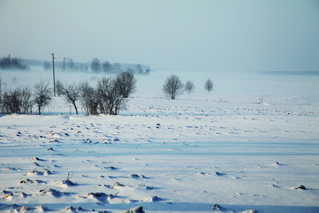 Autors: no “Dzirksteles” arhīva