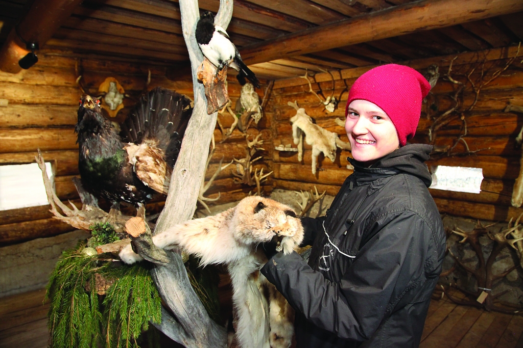 Stradu pagastā briežu dārzs “Mežsētas”, ko pirms 15 gadiem aizsāka Imants un Ināra Pušpuri, aug un attīstās. Tagad darbu turpina dēli un meita Ieva, kas tajā var izpaust gan savu dzīvnieku mīlestību, gan mākslinieciskās spējas. Dzīvnieku trofeju iekārtotajā ekspozīcijā viņa īpaši izceļ lūšu ādas, kas atgādina – tēvs divu dienu laikā nošāva pat 3 meža kaķus. Ieva uzsver, ka lūši ir briežu ienaidnieks numur viens. 
Autors: Gatis Bogdanovs