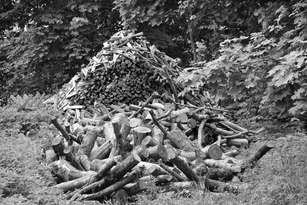 Viena no lielākajām summām tērēta dzīvokļa pabalstam (komunālo maksājumu segšanai, kurināmā iegādei un citam) – vairāk nekā 67 000 eiro.  	
Autors: no “Dzirksteles” arhīva