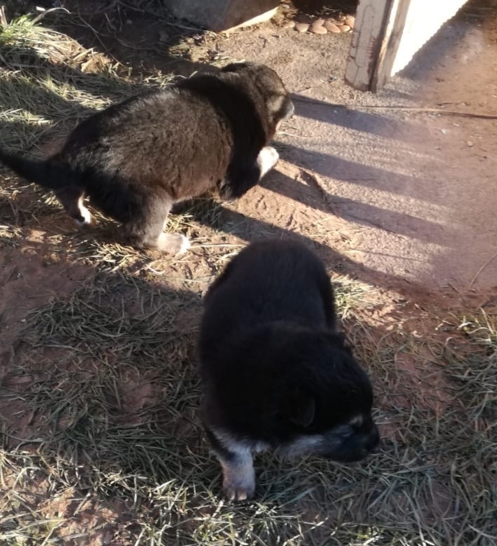 Autors: no privāta arhīva