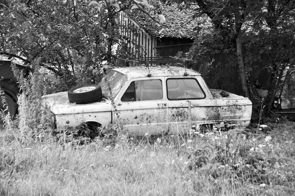 Autors: DAINIS ĢELZIS