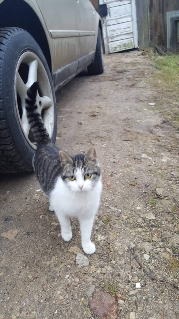 Autors: no privāta arhīva