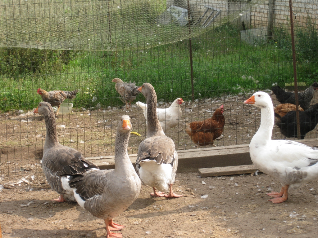 Autors: ilustratīvs foto: Pārsla Konrāde