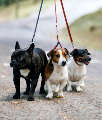 Autors: Iveta Krūmiņa