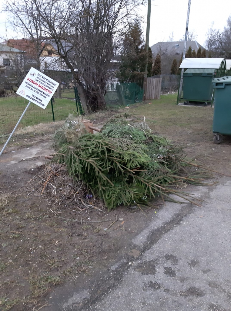 Autors: Ginta Alberte