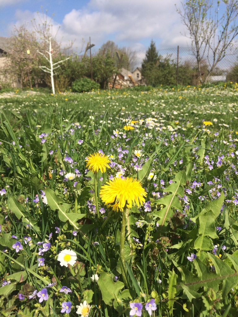 Autors: ilustratīvs foto: Inese Indzere