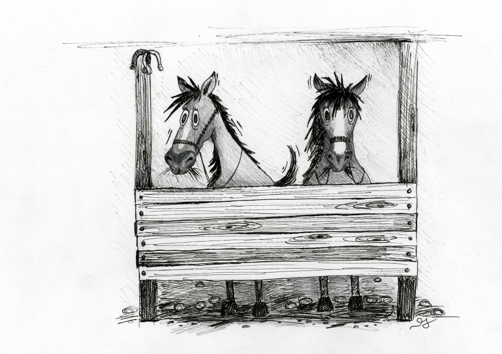 Gulbenē, Bērzu ielā 28 līdz 1965. gada rudenim bija izmitināti rajona komunālo uzņēmumu zirgi. Tos pirms pusgada aizveda prom, bet pie šķūņa joprojām stāv, izmētāts braucamais inventārs un asenizācijas kastes.      “Dzirkstele” Nr.64 (1966. gada 26. maijs)
Autors: Vineta Jogure