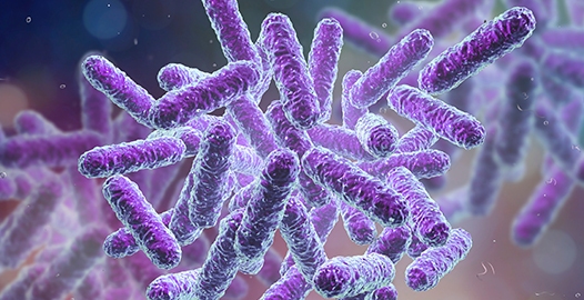 Autors: no interneta