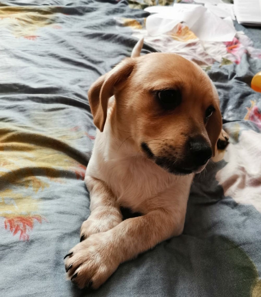 Autors: no privātā arhīva