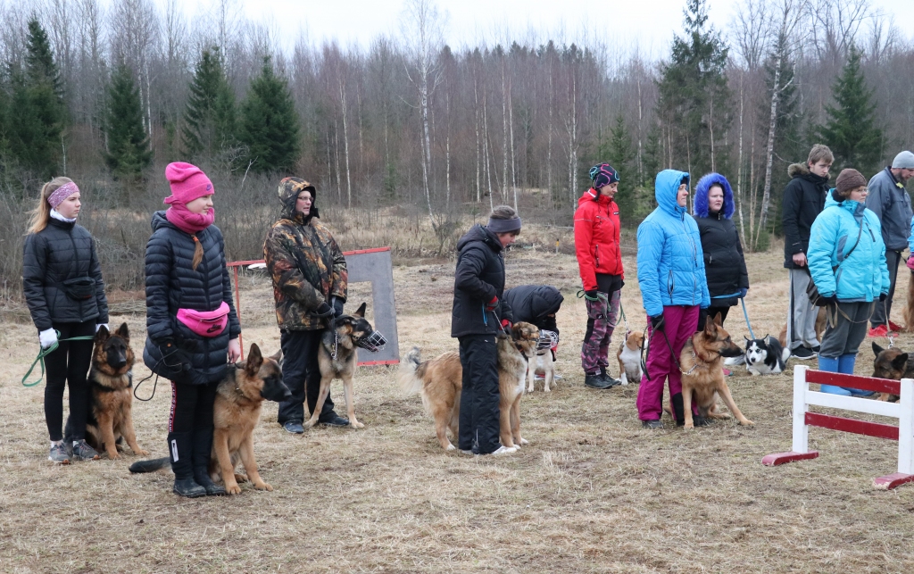 “Visi bijām nosaluši un izmirkuši. Skrējām pa dubļiem, pa pļavām, gūlāmies peļķēs, bet izturējām! Pirmajā posmā labi gāja, kad vēl laiks bija normāls,” saka Rita Hofmane (sarkanā jakā), kura startēja kopā ar bīglu meiteni Šeilu. 
Autors: Didzis Bauers (“Alūksnes un Malienas Ziņas”)