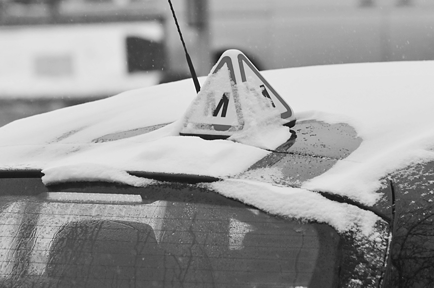 Autors: DAINIS ĢELZIS