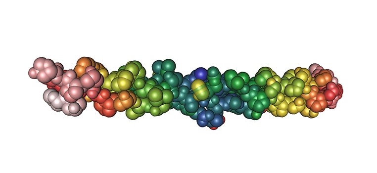 Autors: no interneta