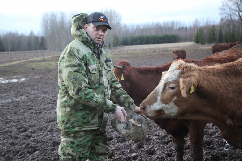 Gatavs sasniegt projektā izvirzītos mērķus un turpināt attīstīt pašam savu saimniecību – tāds ir jaunais uzņēmējs Alvis Makejevs no Jaungulbenes. 
Viņš šogad ir arī saņēmis Jaungulbenes pagasta “Goda uzņēmuma” balvu. “Saņemtā balva un tas, ka esmu Jaungulbenes pagasta vadības pamanīts, ir liels gods un motivācija turpināt strādāt un neapstāties!” saka A.Makejevs.	
Autors: Gatis Bogdanovs