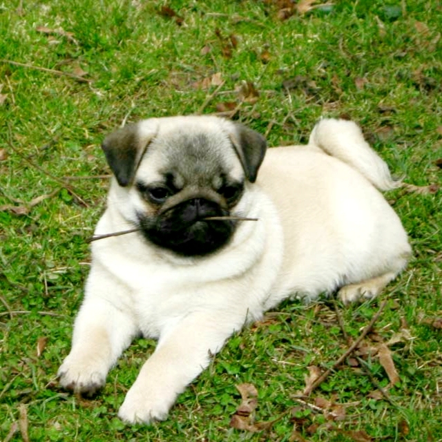 Autors: Iveta Krūmiņa